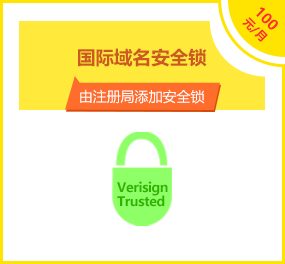 国际域名安全锁
